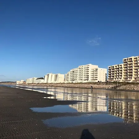 Magnifique Vue Mer * Neufchâtel-Hardelot